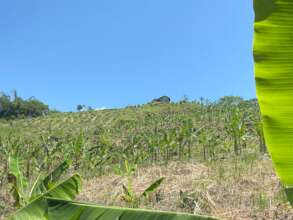 Continue with assistance