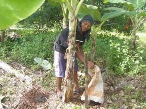 Farm demo