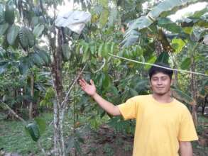 Income improvement from tree growing