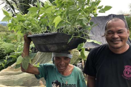 Seedlings and Organic Fertilizer for Food Supply