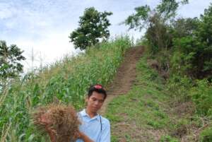 Distributing planting materials