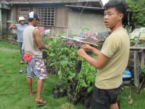 continue seedling support