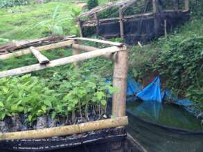 Carbon offset opportunity