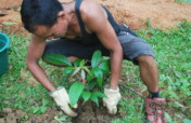 Tree Growing for Food and Biodiversity Improvement