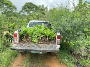 Continue with assistance