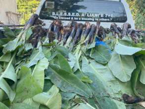 Providing farming support