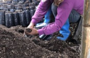Women-led Agro-reforestation Project