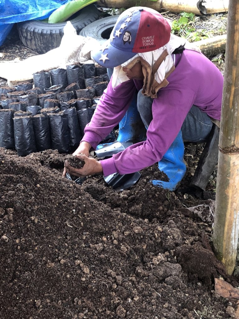 Women-led Agro-reforestation Project