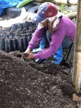Women-led Agro-reforestation Project