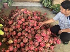 high-value crops promotion