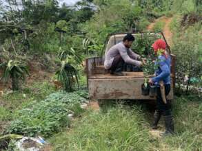 Providing seedlings for the youth