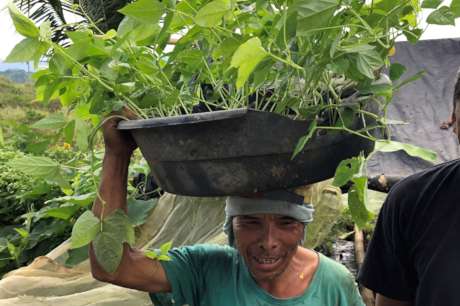 Youth-led Permaculture Initiative for 800 Youth