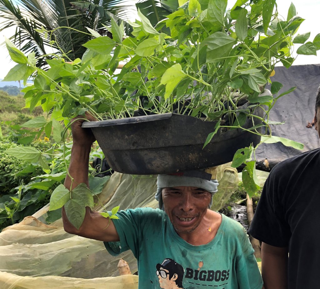 Youth-led Permaculture Initiative for 800 Youth