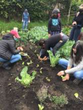 Responsible consumers visiting small-scale farmers