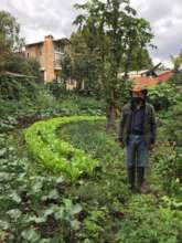 Pedro and his farm