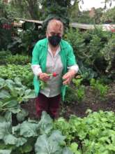 Ines and her farm