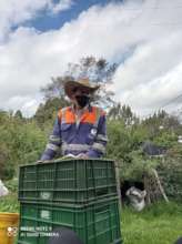 Farmer signing certification commitment