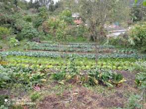Agroecosystem
