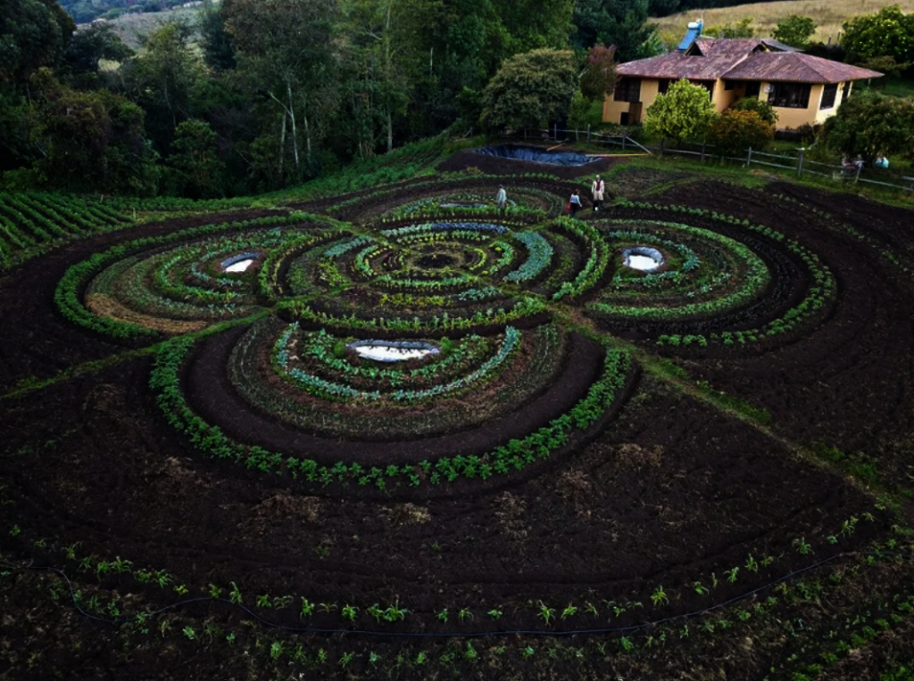 Sponsor small agro-ecological farmers in Colombia