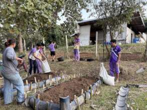 New raised beds for vegetable gardens