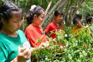 Picking vegetables in our garden