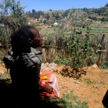 Miheret W.  WeForest Ethiopia