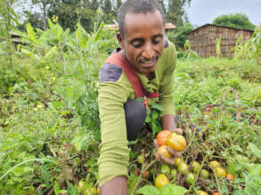 Habtamu A. in his agroforestry plot