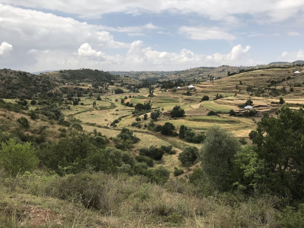 The Great Green Wall Program