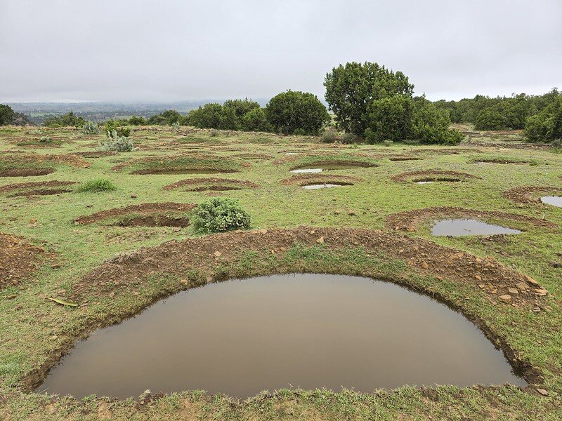 Eastern Afromontane Biodiversity Hotspot Program