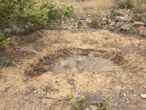 A microbasin to harvest water for treegrowth