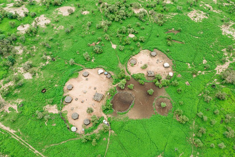 The Great Green Wall Programme