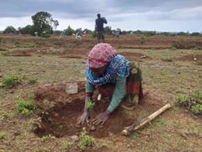 Fieldwork in Desa'a