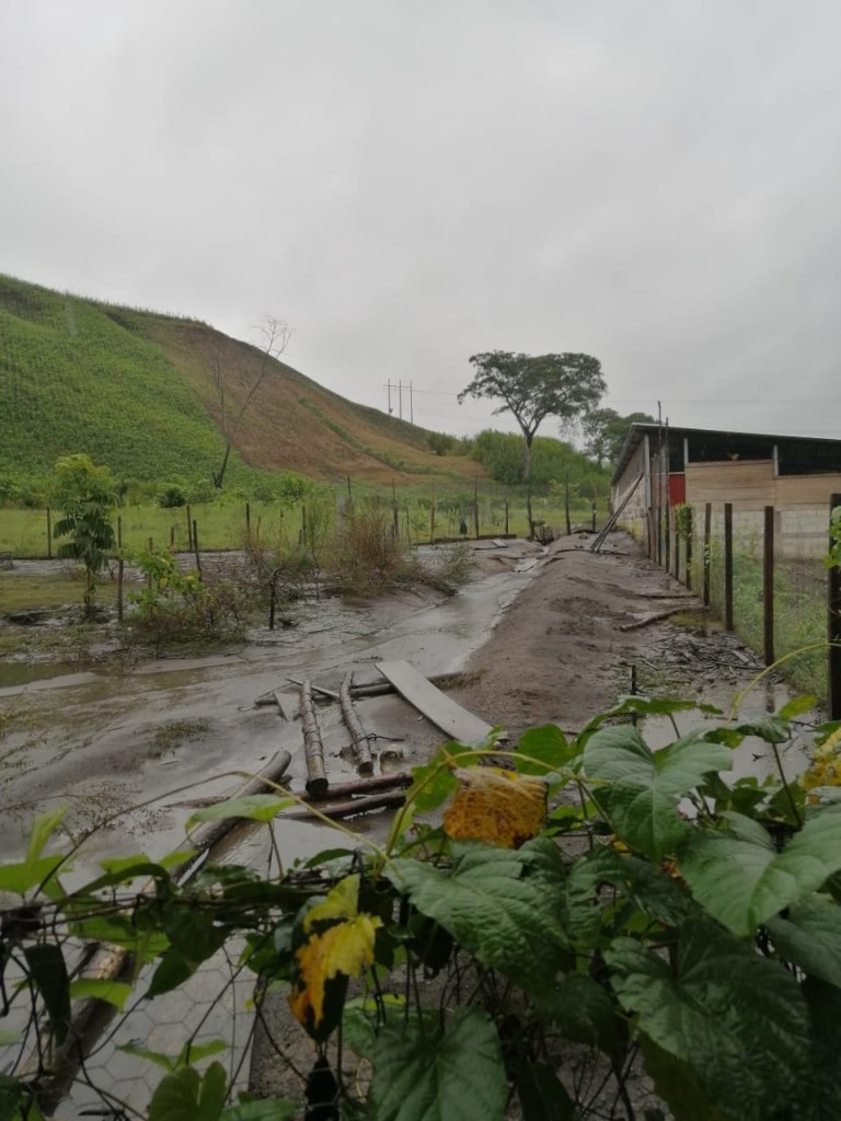 Rebuilding Indigenous Communities After The Storm