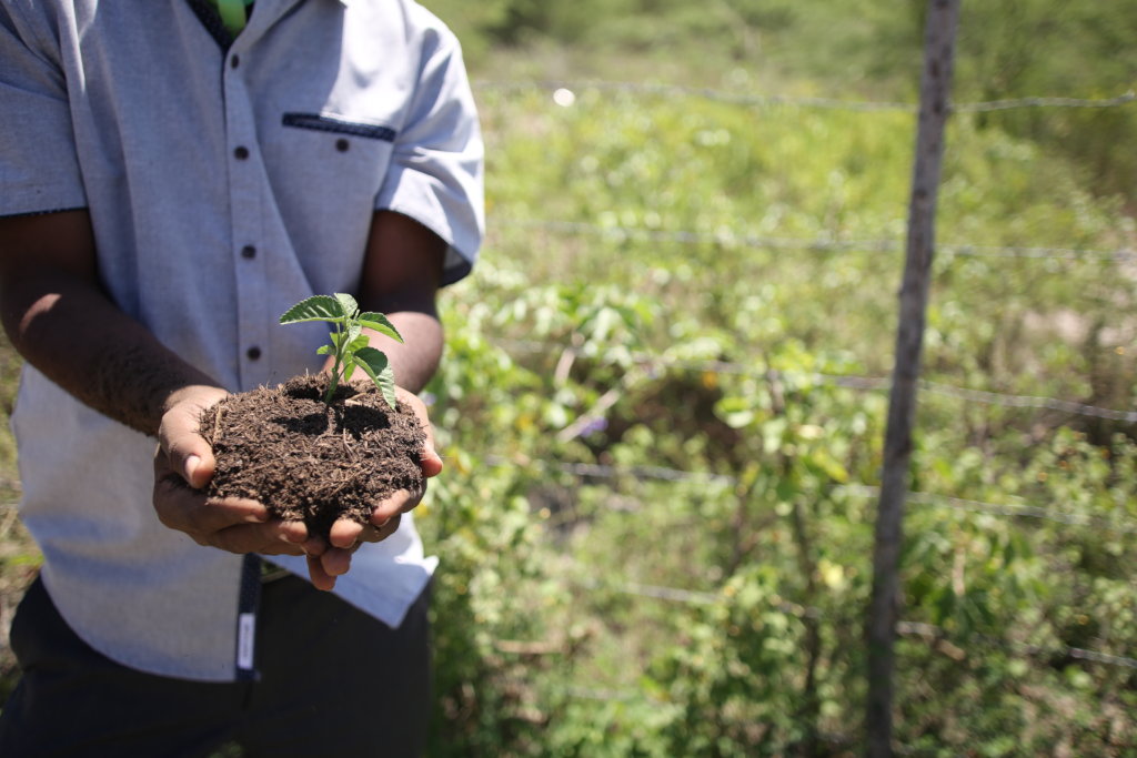 Expanding Sanitation Acess in Urban Haiti