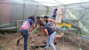herramienta de trabajo