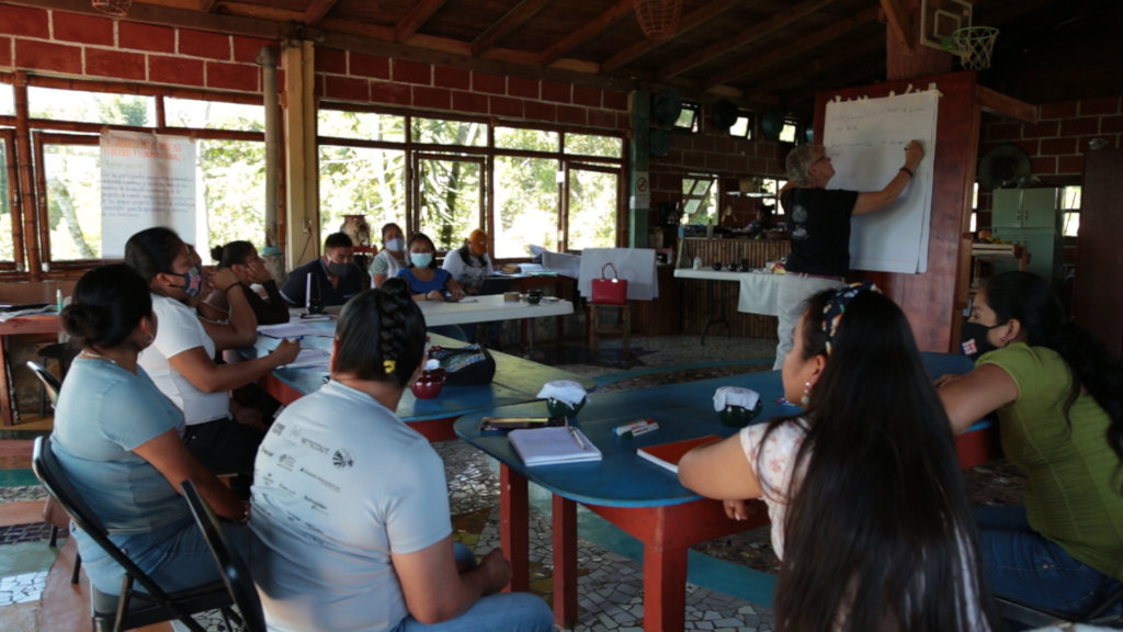 Support a healing integral house for Nahuat Women