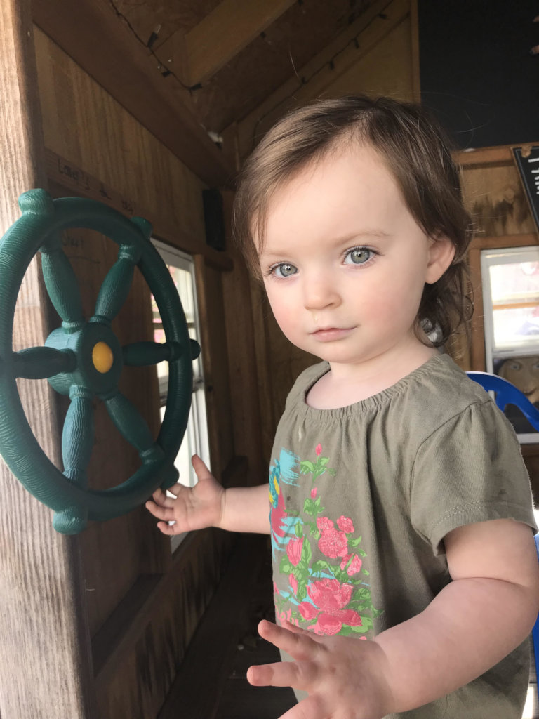 Help Laney get a Seizure Response Service Dog