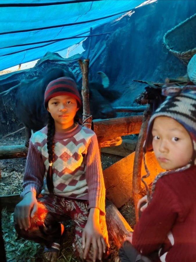 Abi's Daughter & son looking after buffalo & chore