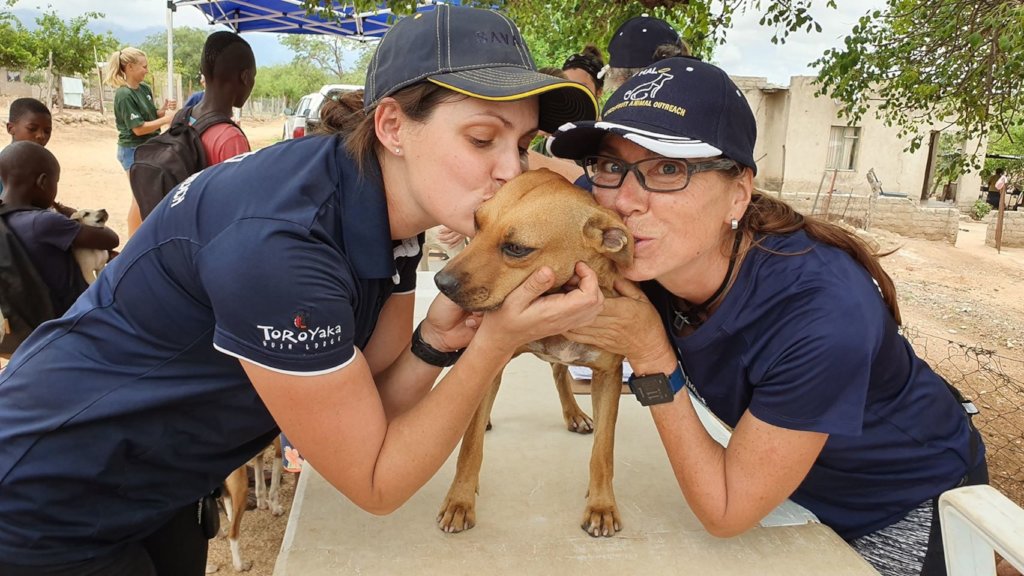 Help HALO give emergency care to animals in need