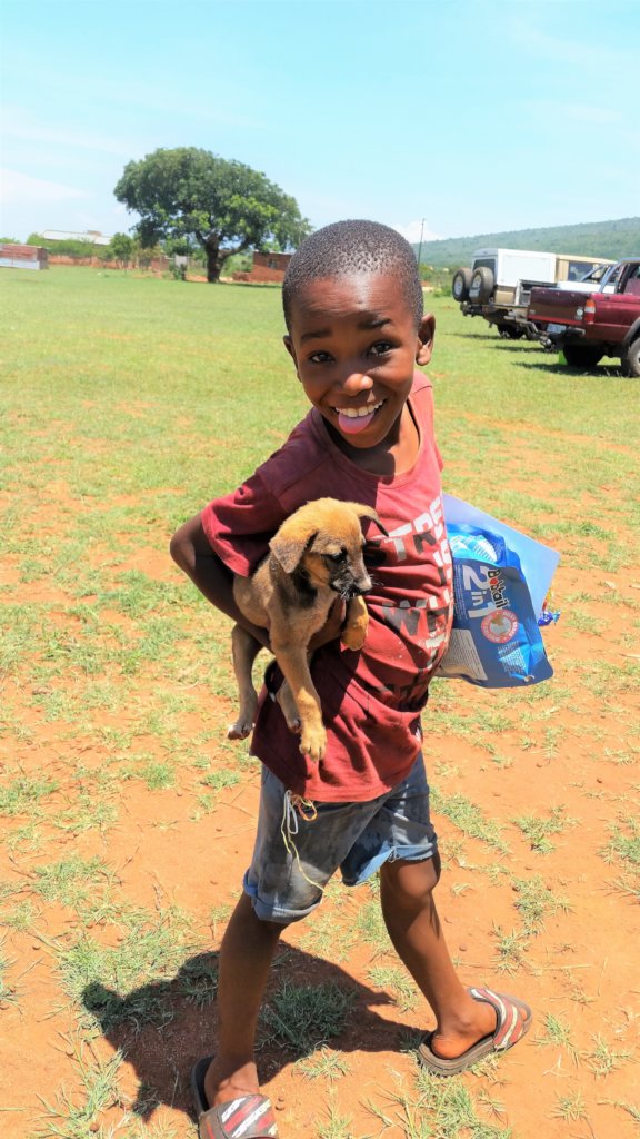 Help HALO give emergency care to animals in need