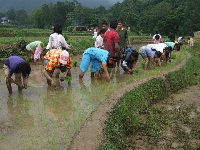 Promote Clean Water Conservation Methods in Nepal