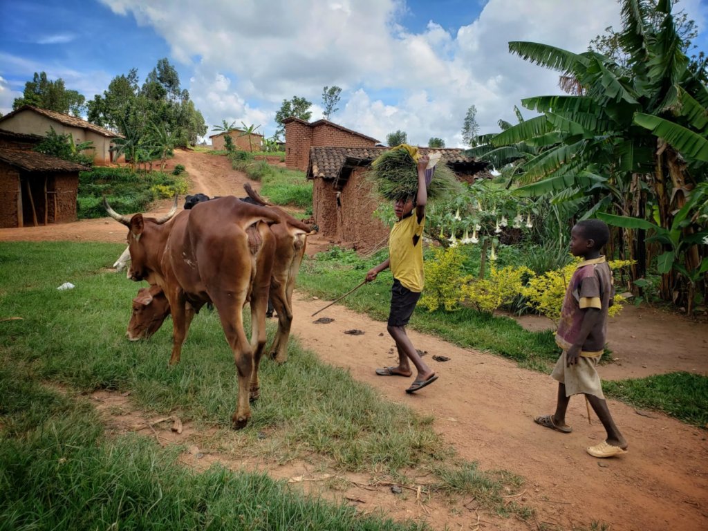Playground for 842 students in Rwanda