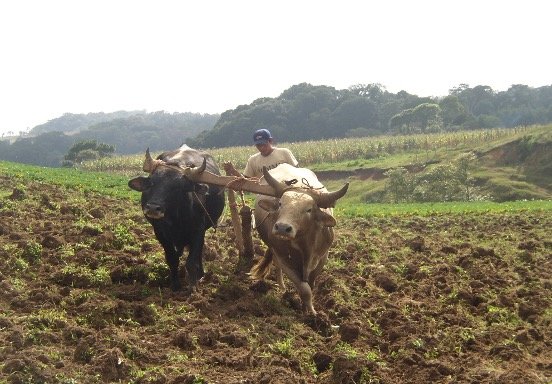 Disaster Relief: Feeding the Hungry in Honduras