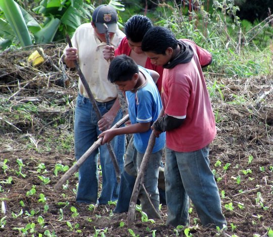 Disaster Relief: Feeding the Hungry in Honduras