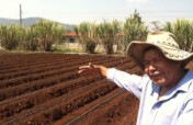 Disaster Relief: Feeding the Hungry in Honduras