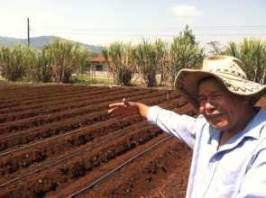 Disaster Relief: Feeding the Hungry in Honduras