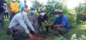 Planting trees with partners last July