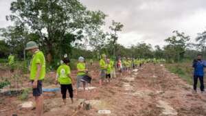 Tree Planting Activities from last year