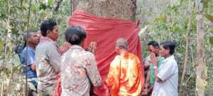 Tree Ordination of PLCN in Sandan Kampong Thom