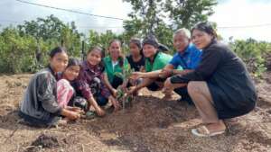 Tree Planting on Local School in Kratie